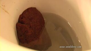 Kinky MILF stands on toilet rim pooping creamy load missing bowl and hitting seat